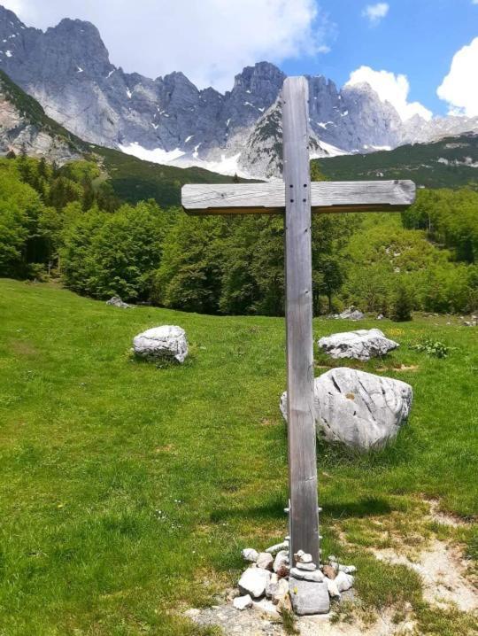 Ferienwohnung Lara Scheffau am Wilden Kaiser Exterior foto
